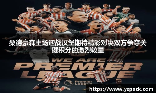 桑德豪森主场迎战汉堡期待精彩对决双方争夺关键积分的激烈较量