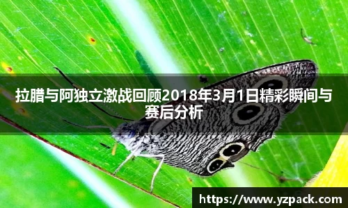 恒信彩票
